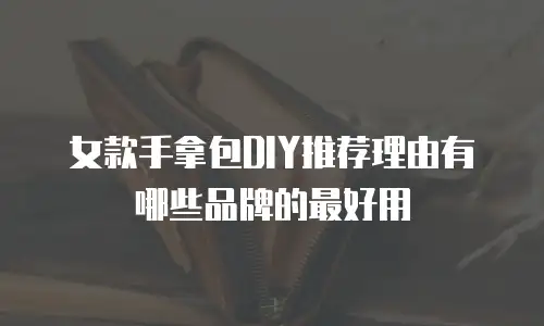 女款手拿包DIY推荐理由有哪些品牌的最好用