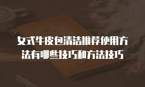 女式牛皮包清洁推荐使用方法有哪些技巧和方法技巧