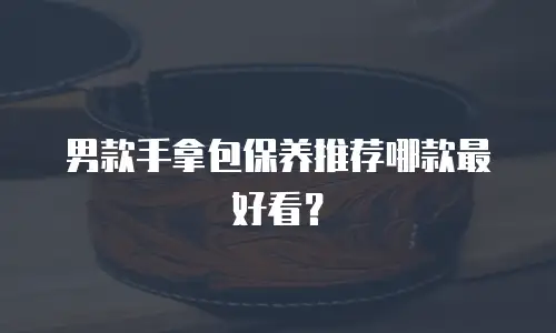 男款手拿包保养推荐哪款最好看？