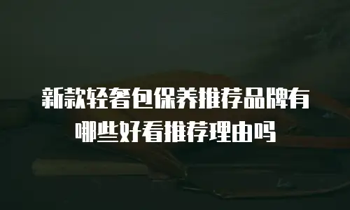 新款轻奢包保养推荐品牌有哪些好看推荐理由吗