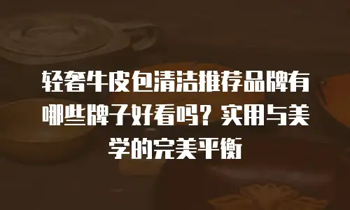 轻奢牛皮包清洁推荐品牌有哪些牌子好看吗？实用与美学的完美平衡