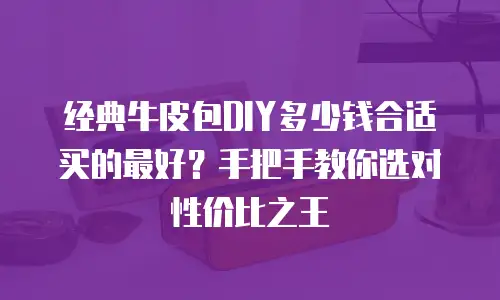 经典牛皮包DIY多少钱合适买的最好？手把手教你选对性价比之王