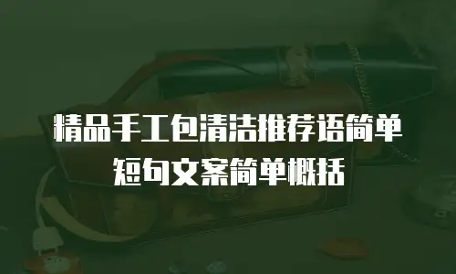 精品手工包清洁推荐语简单短句文案简单概括