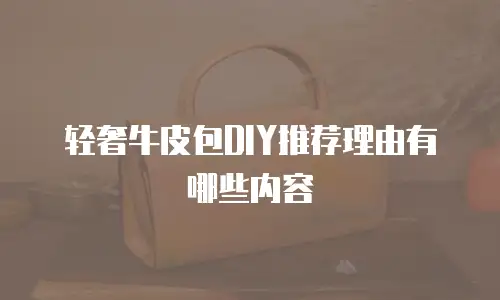 轻奢牛皮包DIY推荐理由有哪些内容