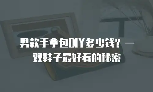 男款手拿包DIY多少钱？一双鞋子最好看的秘密