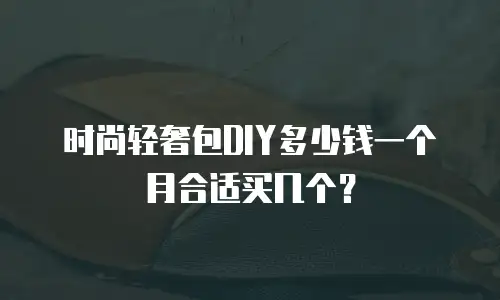 时尚轻奢包DIY多少钱一个月合适买几个？