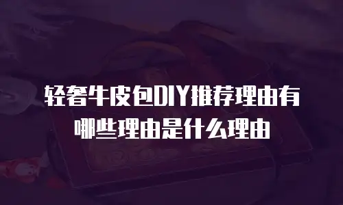 轻奢牛皮包DIY推荐理由有哪些理由是什么理由