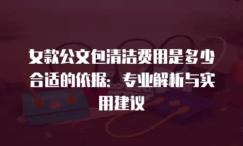 女款公文包清洁费用是多少合适的依据：专业解析与实用建议