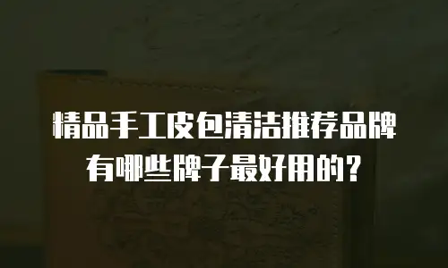 精品手工皮包清洁推荐品牌有哪些牌子最好用的？