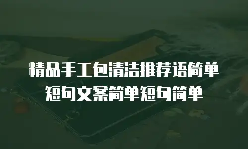 精品手工包清洁推荐语简单短句文案简单短句简单