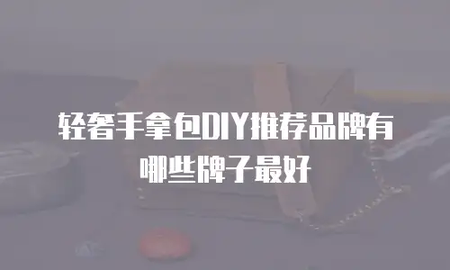 轻奢手拿包DIY推荐品牌有哪些牌子最好