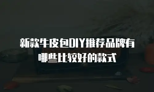 新款牛皮包DIY推荐品牌有哪些比较好的款式