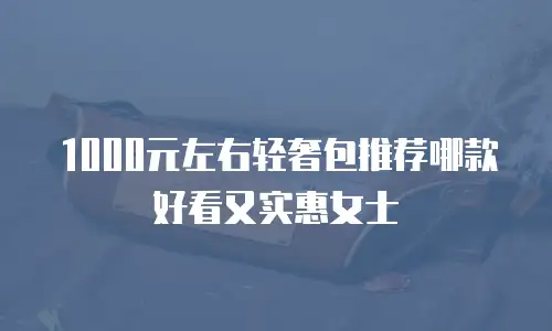 1000元左右轻奢包推荐哪款好看又实惠女士