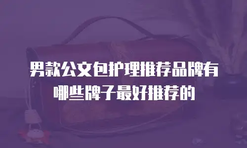 男款公文包护理推荐品牌有哪些牌子最好推荐的