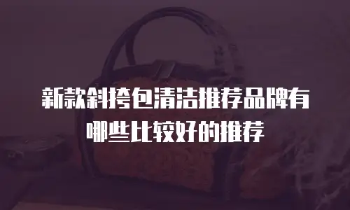 新款斜挎包清洁推荐品牌有哪些比较好的推荐