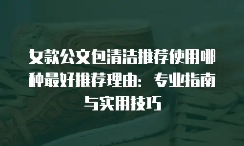 女款公文包清洁推荐使用哪种最好推荐理由：专业指南与实用技巧