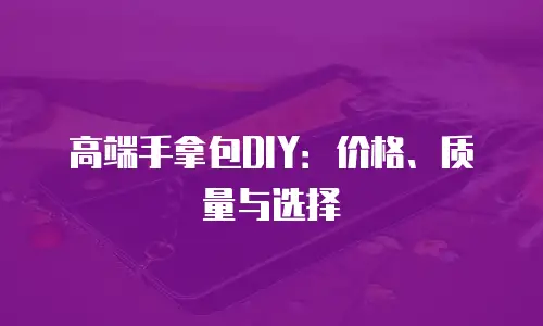高端手拿包DIY：价格、质量与选择