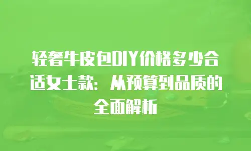 轻奢牛皮包DIY价格多少合适女士款：从预算到品质的全面解析