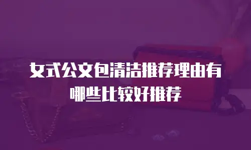 女式公文包清洁推荐理由有哪些比较好推荐