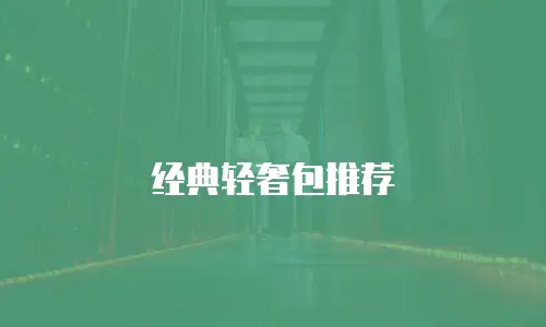 经典轻奢包推荐