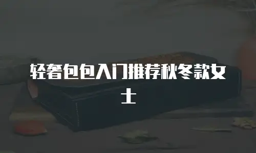 轻奢包包入门推荐秋冬款女士