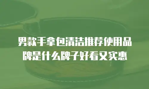 男款手拿包清洁推荐使用品牌是什么牌子好看又实惠