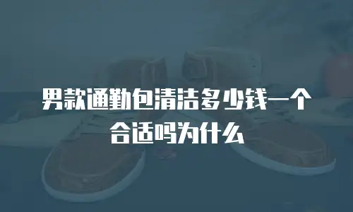 男款通勤包清洁多少钱一个合适吗为什么