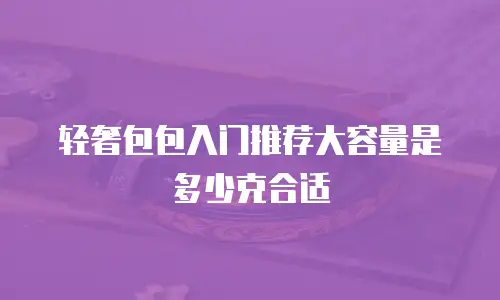轻奢包包入门推荐大容量是多少克合适