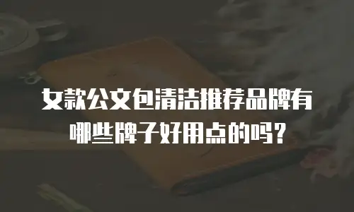 女款公文包清洁推荐品牌有哪些牌子好用点的吗？