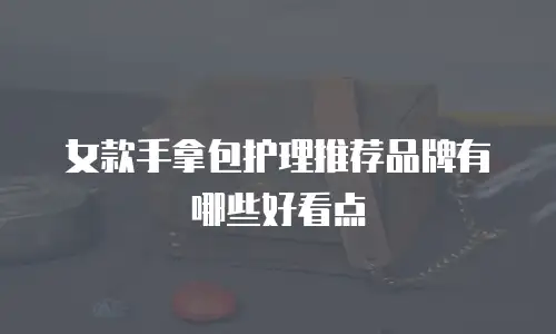 女款手拿包护理推荐品牌有哪些好看点