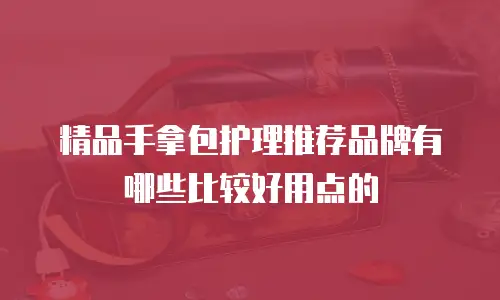 精品手拿包护理推荐品牌有哪些比较好用点的