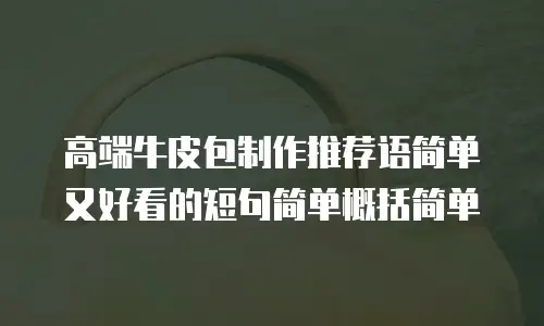 高端牛皮包制作推荐语简单又好看的短句简单概括简单
