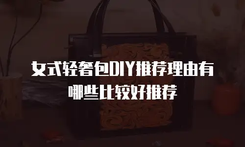 女式轻奢包DIY推荐理由有哪些比较好推荐