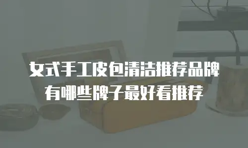 女式手工皮包清洁推荐品牌有哪些牌子最好看推荐
