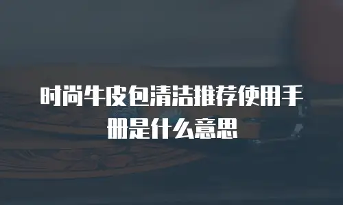 时尚牛皮包清洁推荐使用手册是什么意思