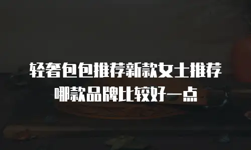 轻奢包包推荐新款女士推荐哪款品牌比较好一点