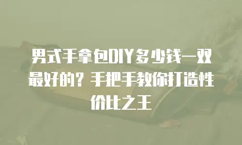 男式手拿包DIY多少钱一双最好的？手把手教你打造性价比之王