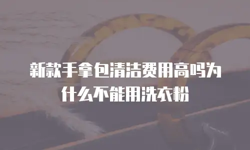 新款手拿包清洁费用高吗为什么不能用洗衣粉