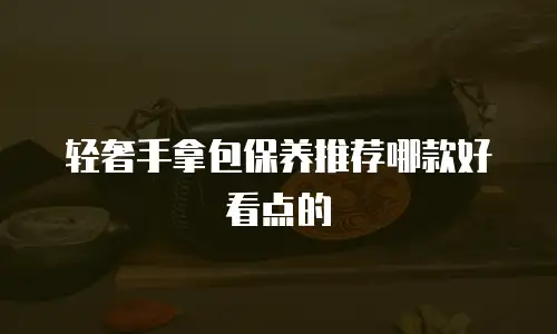 轻奢手拿包保养推荐哪款好看点的