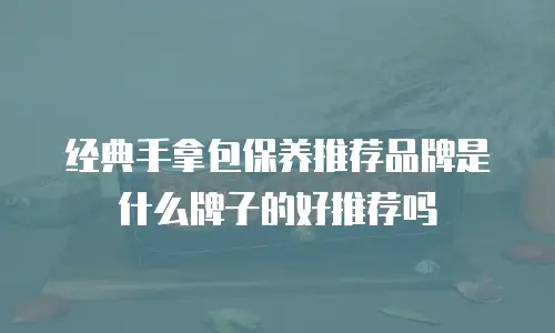 经典手拿包保养推荐品牌是什么牌子的好推荐吗