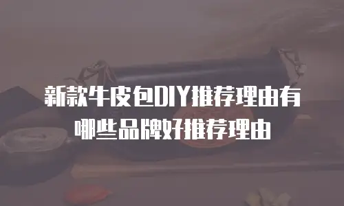 新款牛皮包DIY推荐理由有哪些品牌好推荐理由