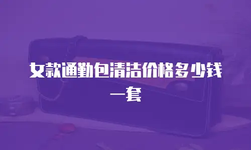 女款通勤包清洁价格多少钱一套