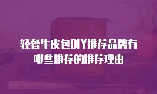 轻奢牛皮包DIY推荐品牌有哪些推荐的推荐理由