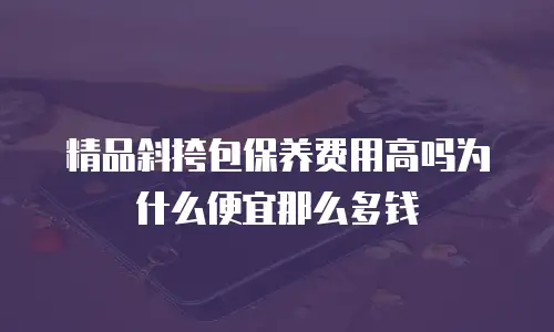 精品斜挎包保养费用高吗为什么便宜那么多钱