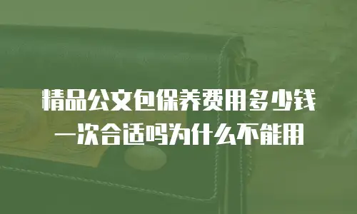 精品公文包保养费用多少钱一次合适吗为什么不能用