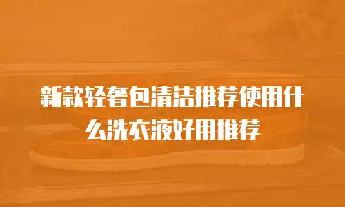 新款轻奢包清洁推荐使用什么洗衣液好用推荐
