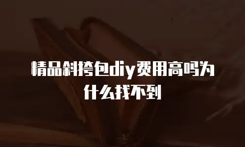 精品斜挎包diy费用高吗为什么找不到