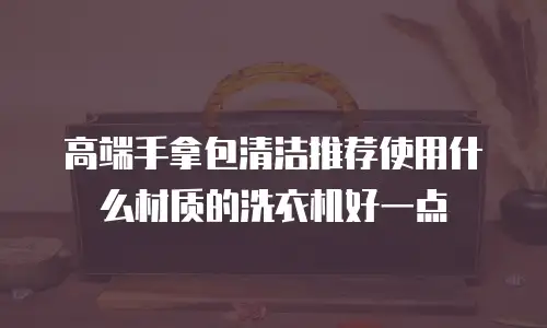 高端手拿包清洁推荐使用什么材质的洗衣机好一点