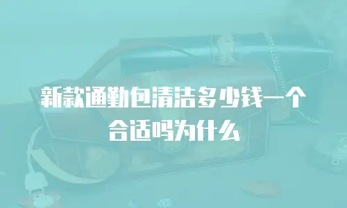 新款通勤包清洁多少钱一个合适吗为什么