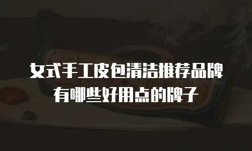 女式手工皮包清洁推荐品牌有哪些好用点的牌子